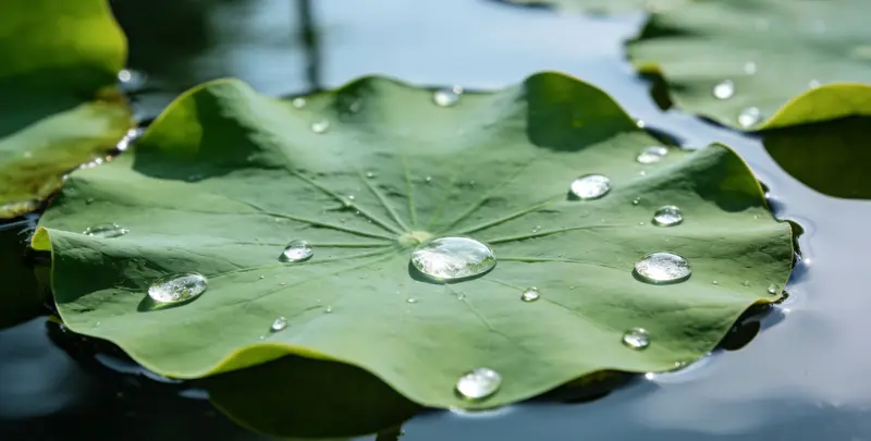 天津乳腺癌21基因mRNA表达分析图片1